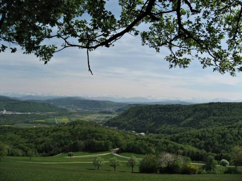 Aussicht vom Rotbergegg