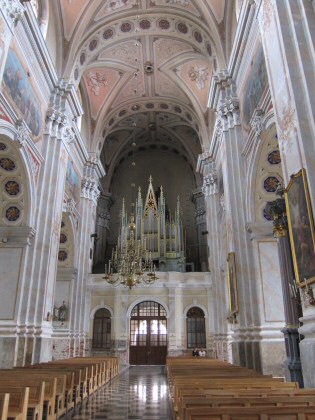 Peter und Paul Kathedrale, Orgel