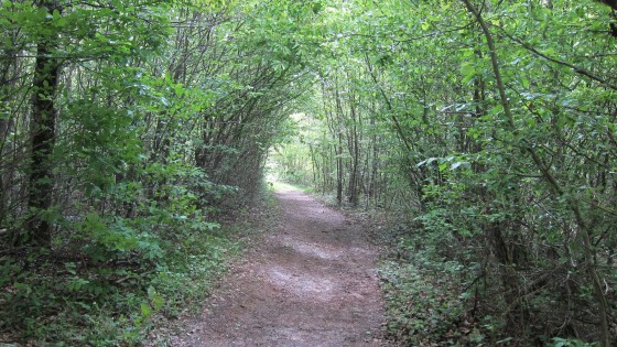 Chemin du Mont Tournier