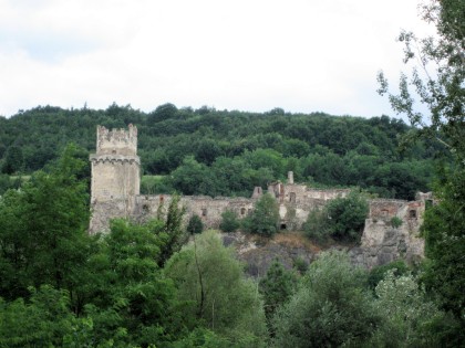 Ruines du château de Weitenegg