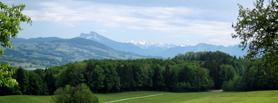 Salzburg mountains