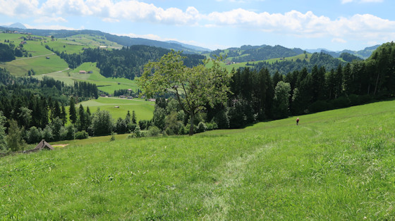 Descent to Peterzell