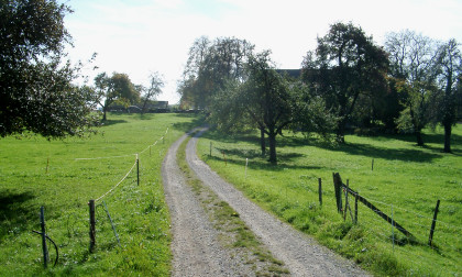 Jakobsweg bei Hünikon