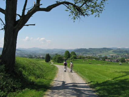 Chemin de Saint-Jacques à Münchwilen