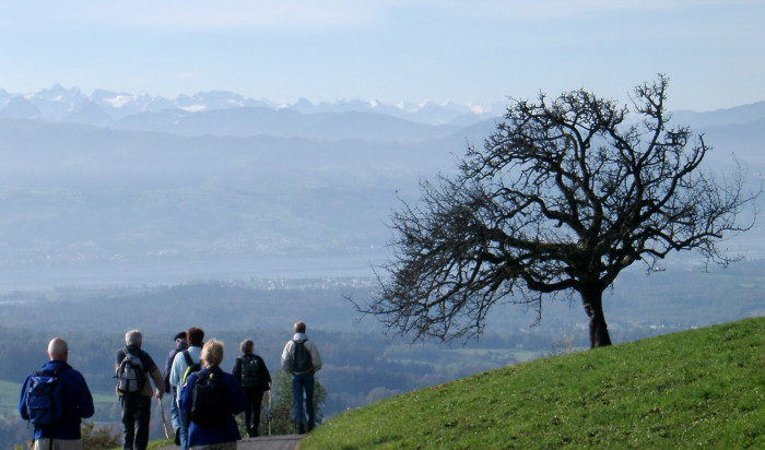 Descente vers Rapperswil avec vue sur le lac de Zurich