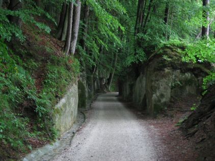 in Sandstein gehauener Hohlweg nach Wissenbach