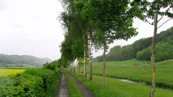 Jakobsweg entlang der Broye