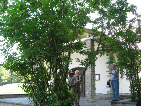 Jacob's Chapel Bösegg with pumpernut tree