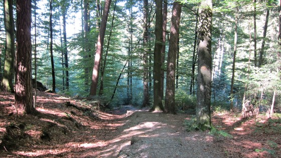 Sentier de randonnée du Grossholz