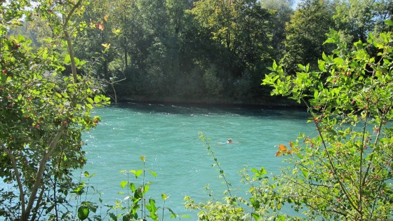 swimmers in the Aare