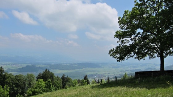 viewpoint Leueberg