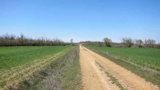 Path in the plain