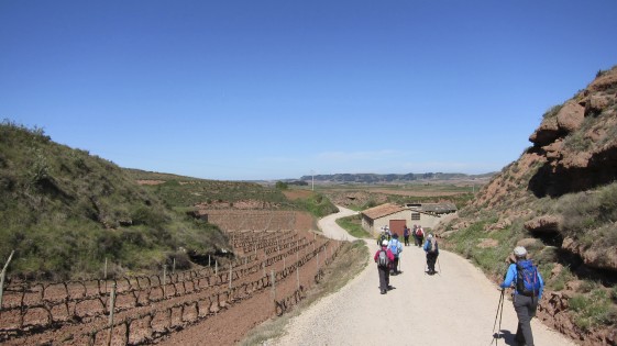 Rioja Weinbaugebiet