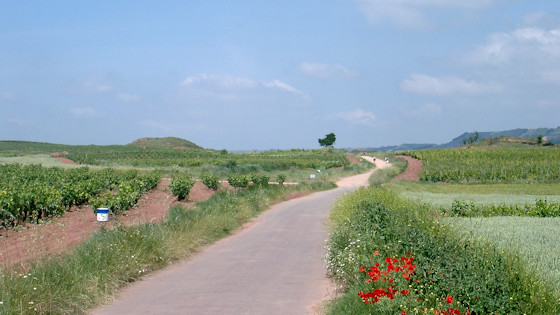 route through vineyards