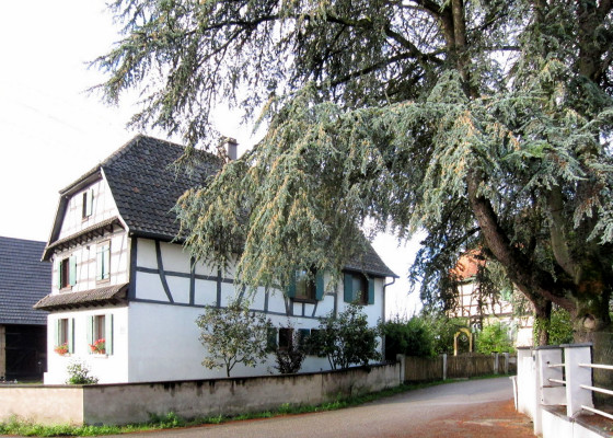 Half-timbered house in Sourbourg