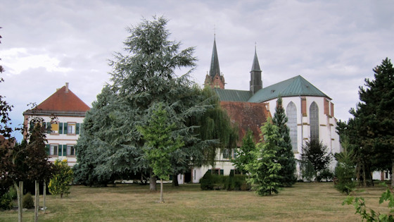 Kloster Marienthal und Kirche