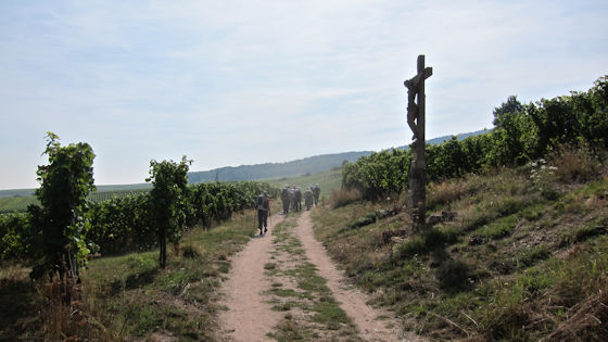 cross in the vinyard