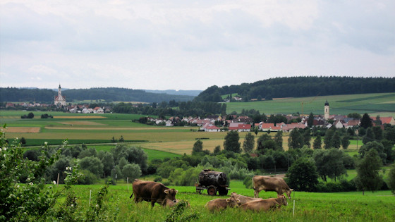 Vue sur Muttensweiler et Steinhausen