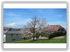 IMG_7795