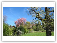 IMG_7796