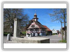 IMG_7798