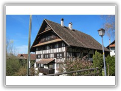 IMG_7799