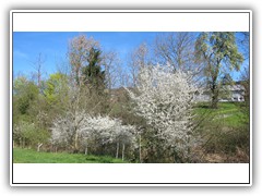 IMG_7805