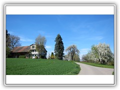IMG_7807