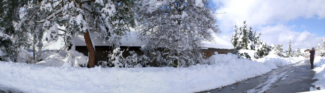 Der Haldenrain in Schnee