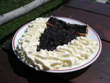 Gâteau aux myrtilles avec crème fouettée