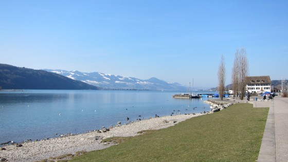 Rive du lac de Schmerikon au bord de l'Obersee