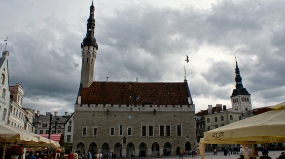 gothic town hall in Tallinn
