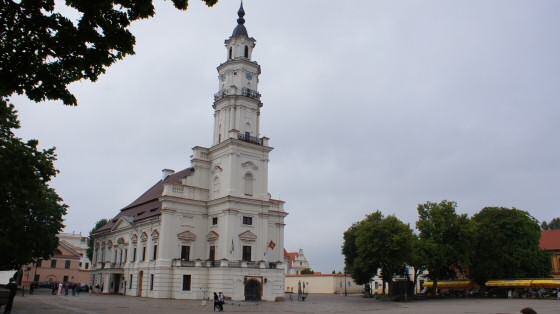 cygne blanc, mairie de Kaunas