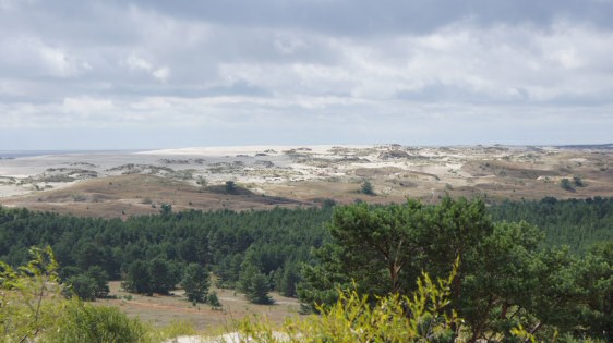 Dunes in the Curonian Spit