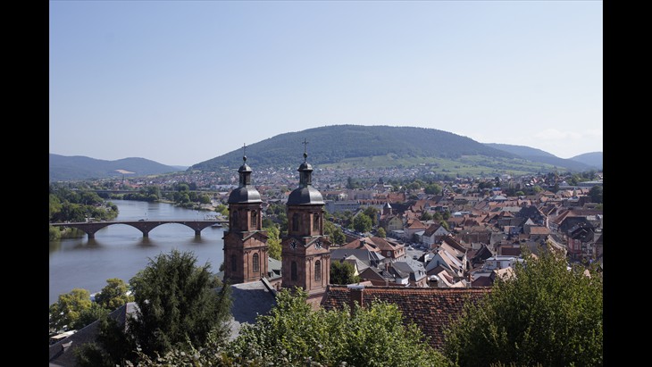 Vue sur la ville depuis le château de Miltenburg