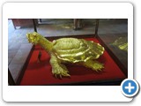 goldene Schildkröte