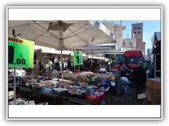 IMG_3348