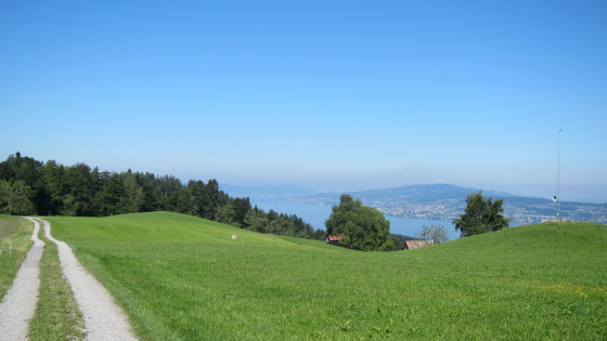 Vue sur le lac de Zurich