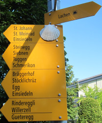 way sign with shell
