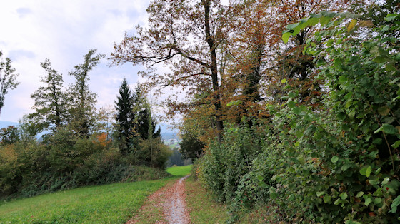 Chemin de Neuhaus