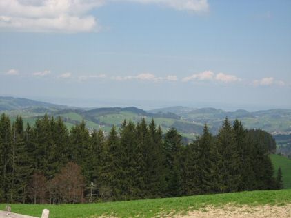 Vue du Tüfenberg sur le lac de Constance