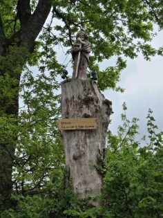 Jacques sur le tronc d'arbre
