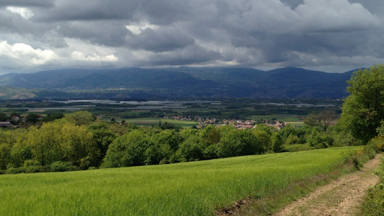 vallée du Rhône