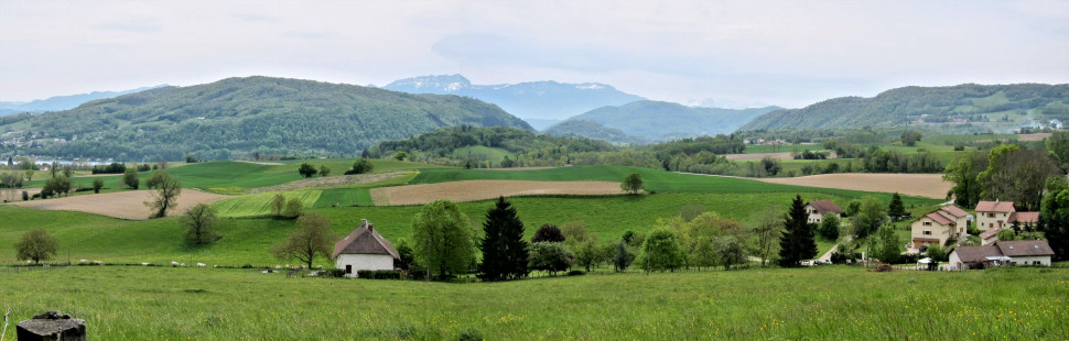 typical landscape