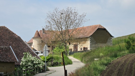 Grésin, former castle