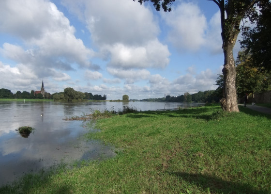überflutete Elbe