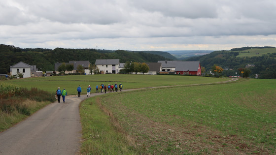 Chemin vers Neuerburg
