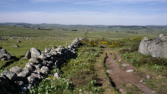 The landscape of the Aubrac