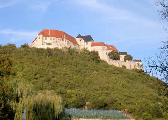 Castle Neuenburg on the hill