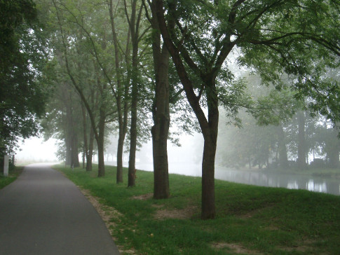 Morning fog on the Danube